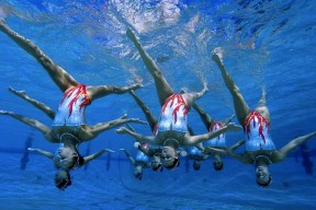 Yabo-体育速递，马赛篮板制胜，森林狼紧急沟通，法兰克福全力备战全明星